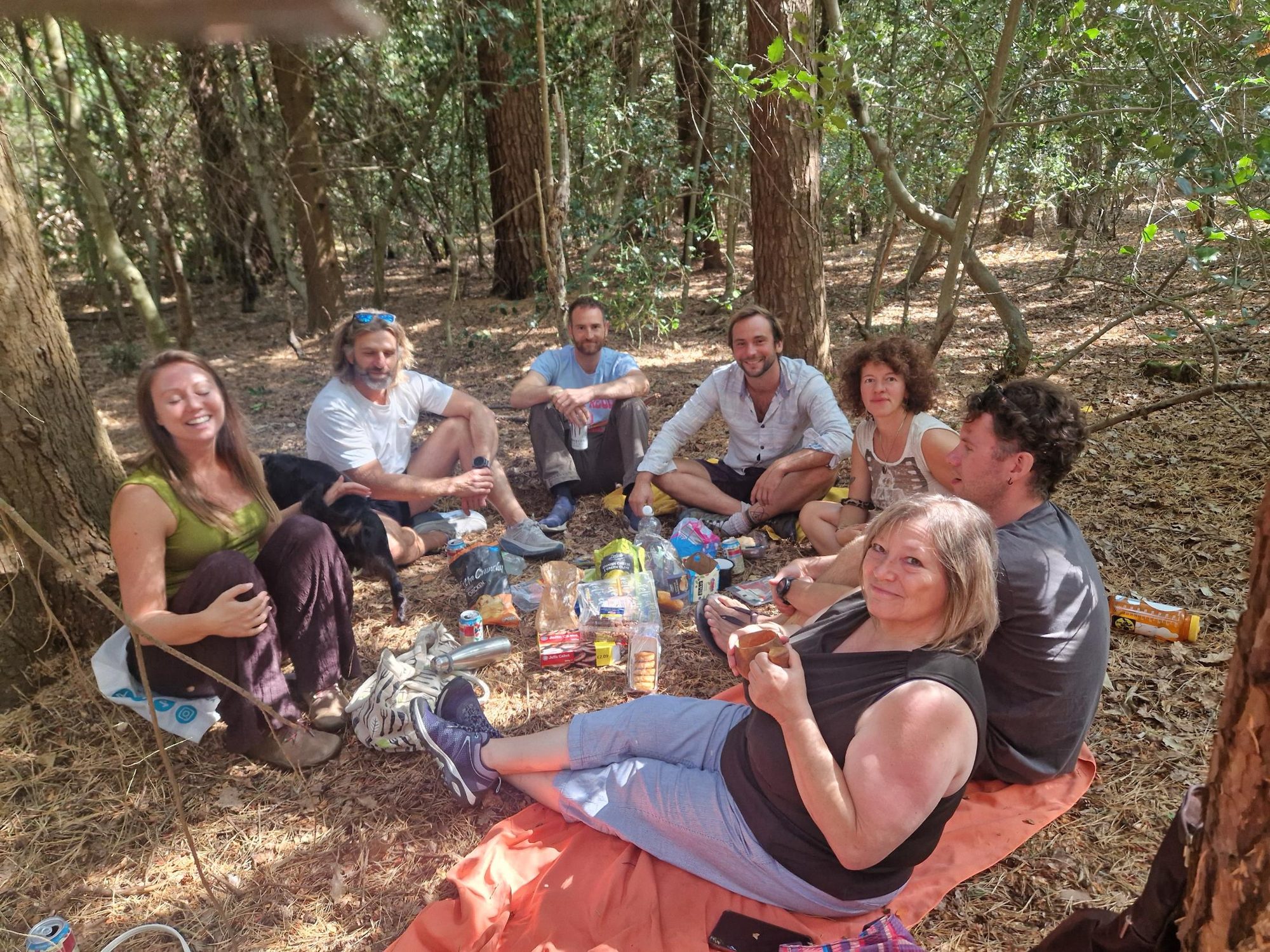 The woods