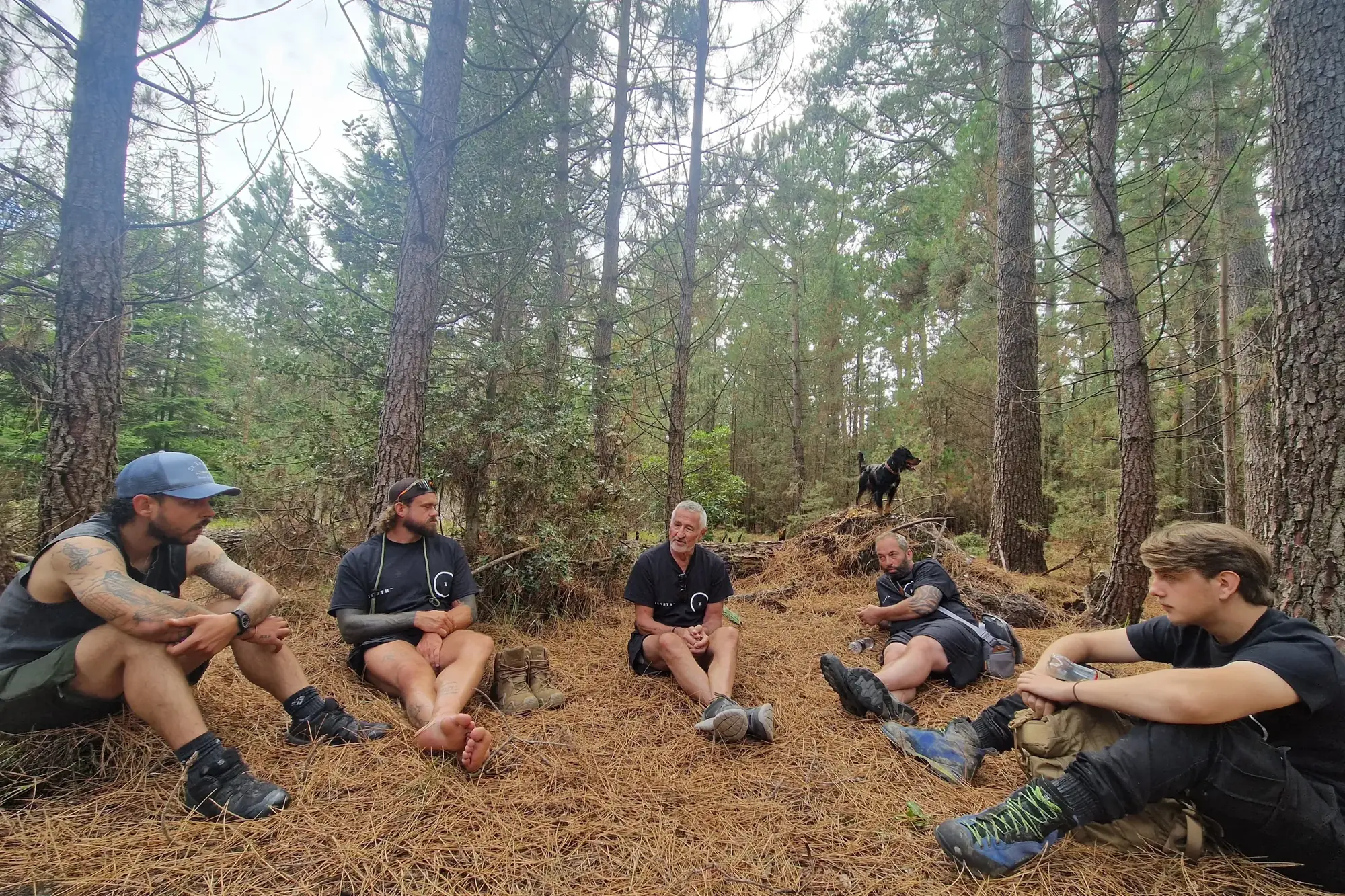 Men sitting in a circle on pine needles in the forest
